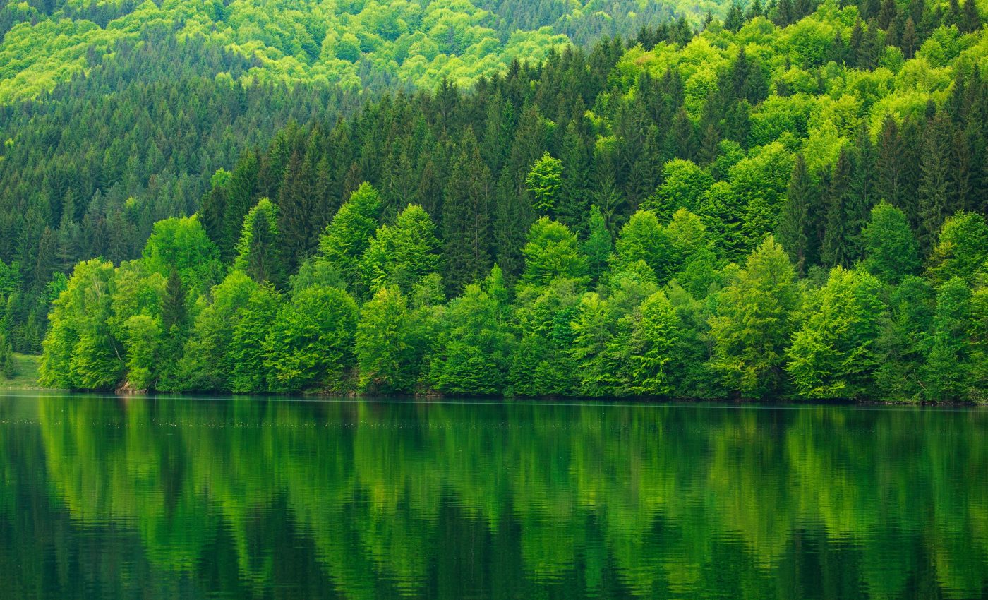 The greening effects of CO2 emissions are reaching their limit