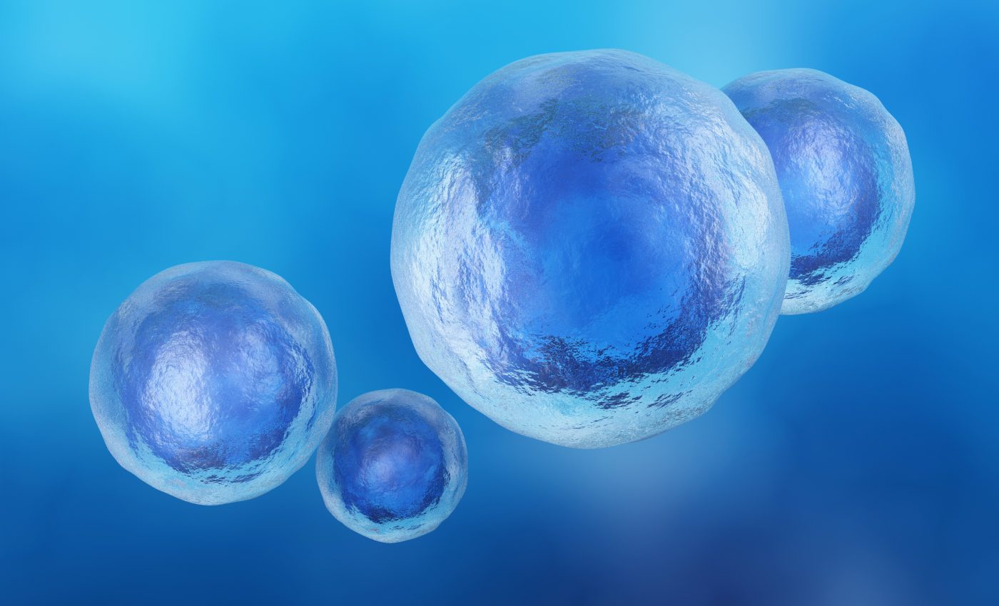 The precise mechanics of cell movement are finally revealed