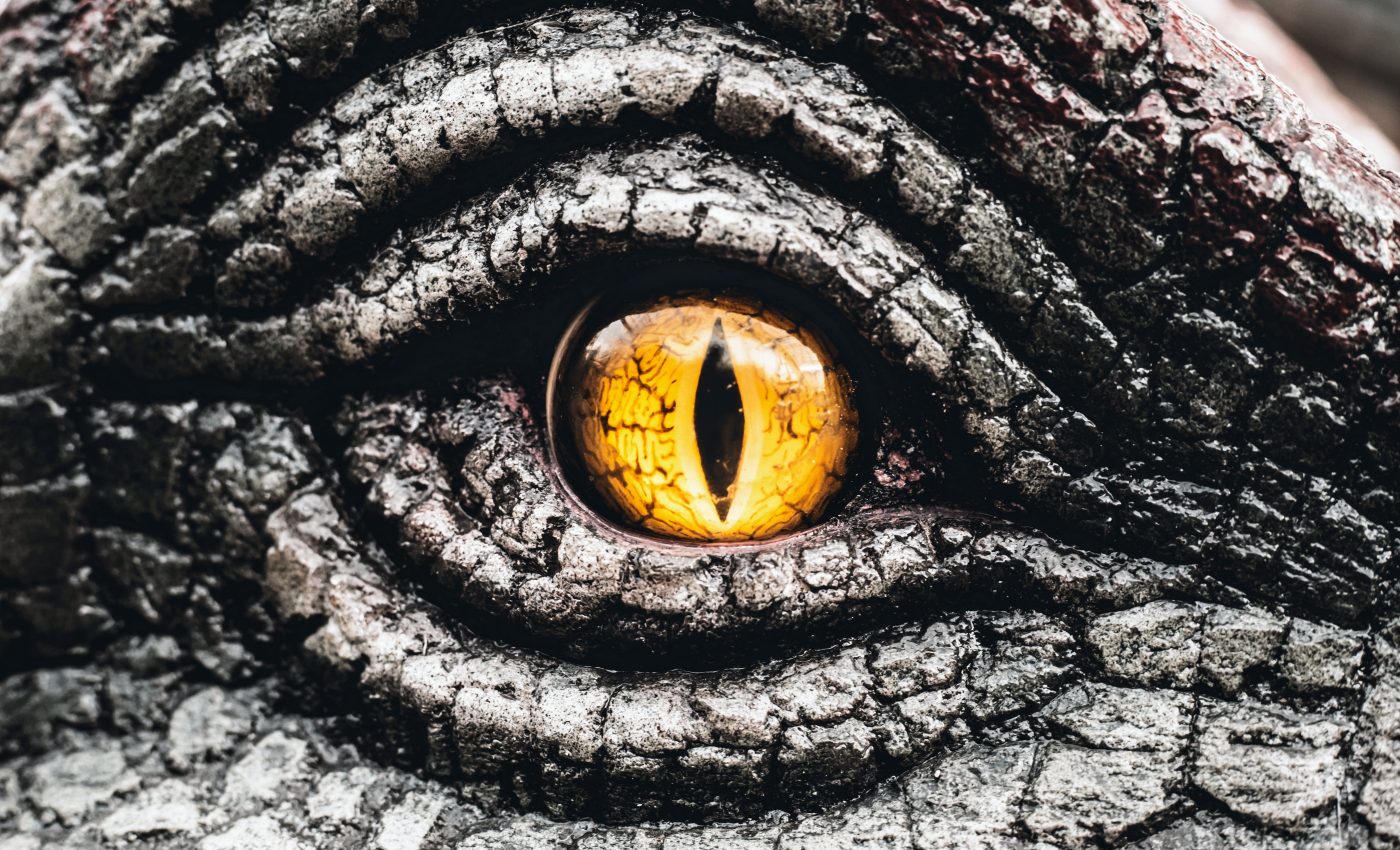 Bones found in Argentina may belong to the world's largest dinosaur