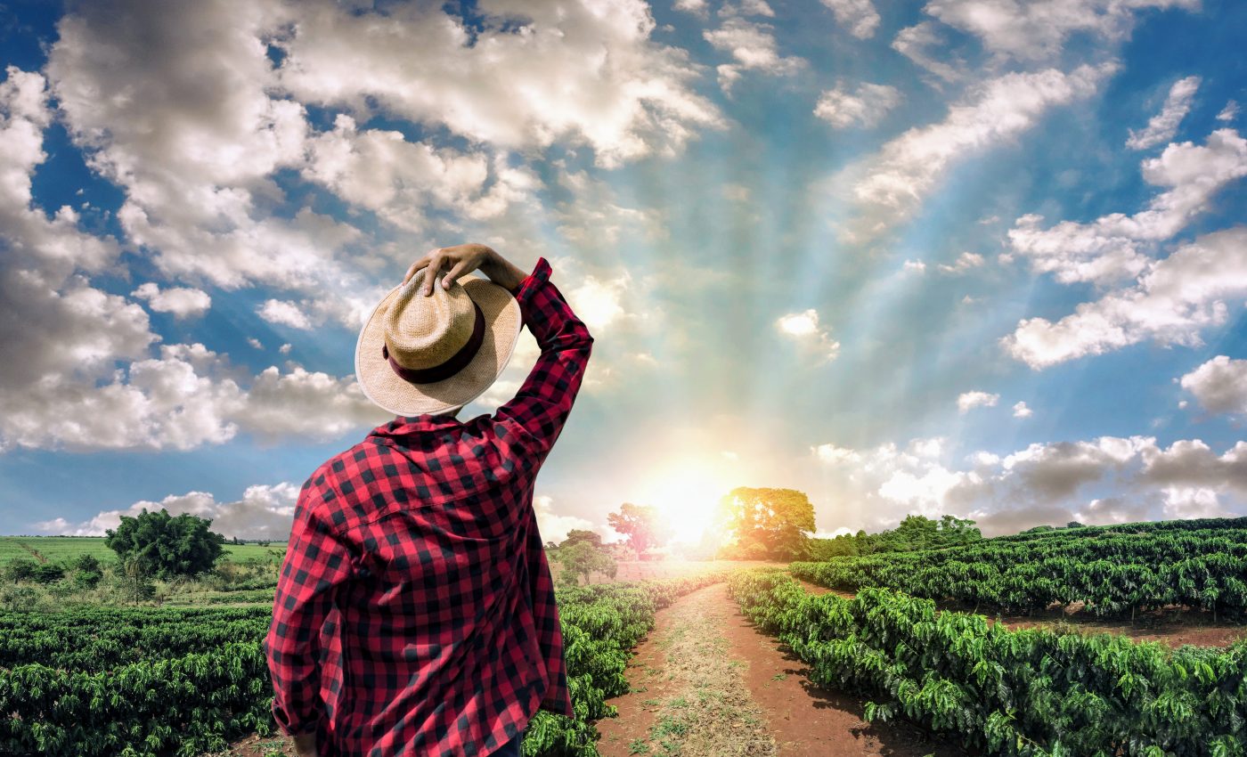 Experts identify "hotspots of opportunity" to reduce nitrogen pollution