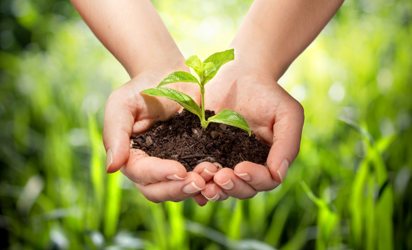 Plant science is becoming increasingly critical to society