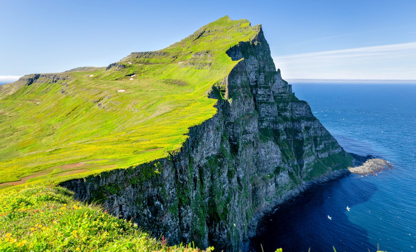 Arctic greening will not slow local climate changes