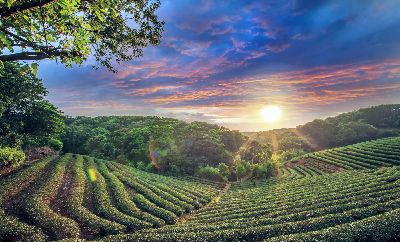 One-third of food production threatened by climate change