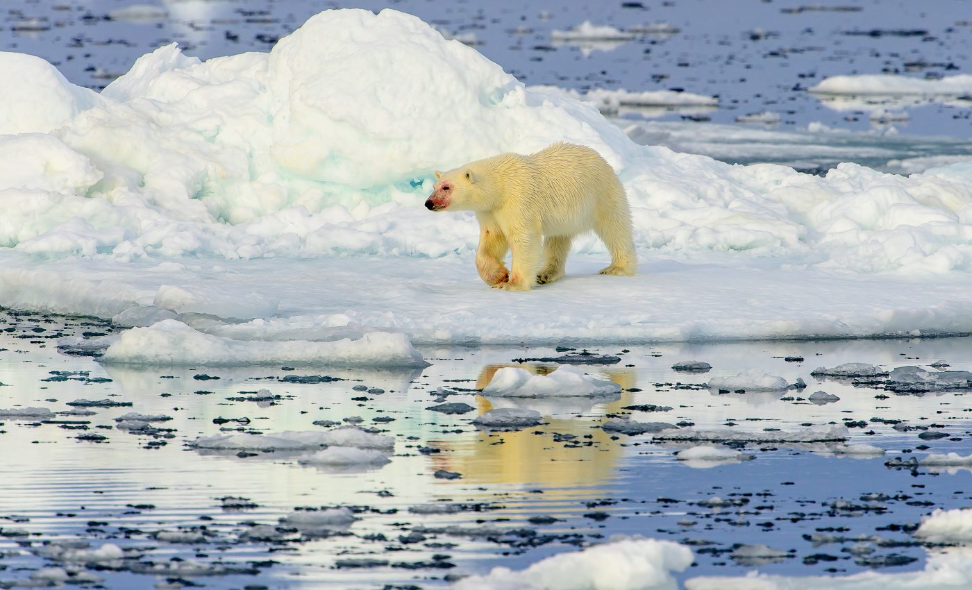 Arctic warming is not properly represented in climate targets