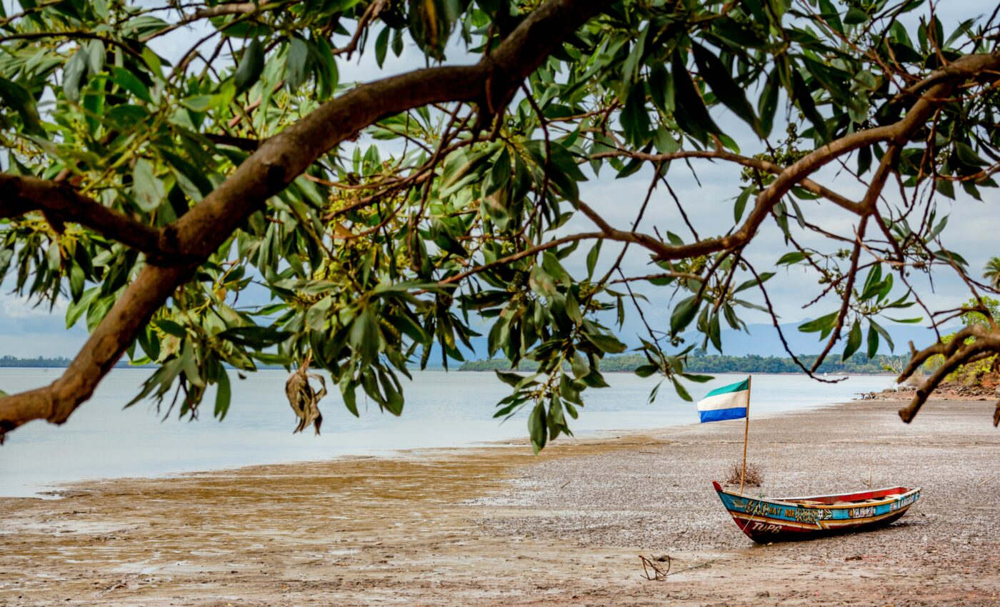 Lost crab species rediscovered in Sierra Leone