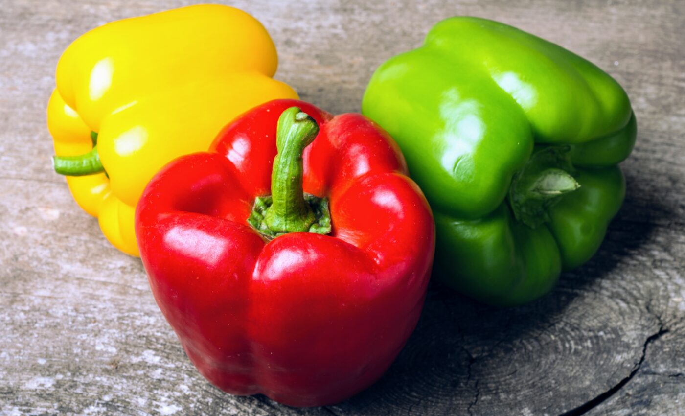 It’s in the genes: humans traded peppers along global trade routes