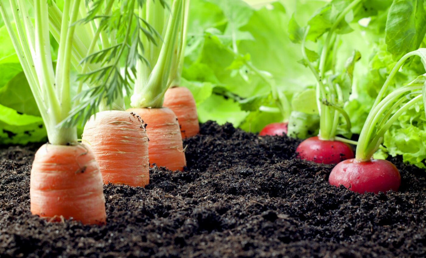 Eat sustainable foods, gain more healthy minutes of life