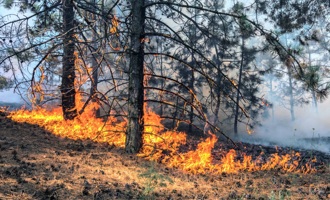 Reporting on climate change has become more accurate