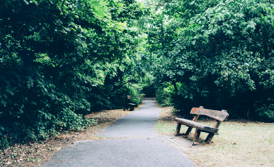 Green spaces linked to lower rates of heart disease