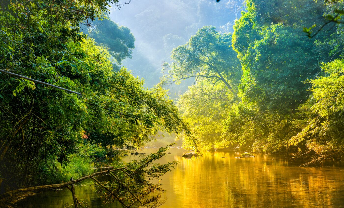 Extreme heat stress will impact millions in the Brazilian Amazon