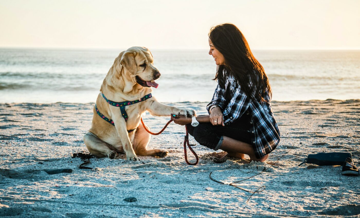 Dogs lived with humans in Central America 12,000 years ago