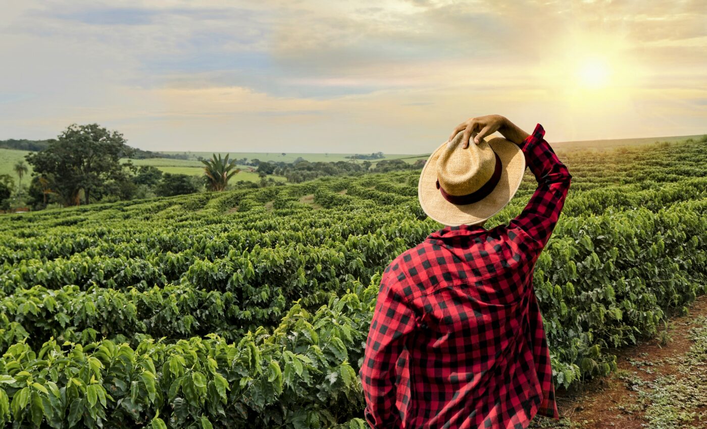 Climate change will impact the quality and taste of coffee