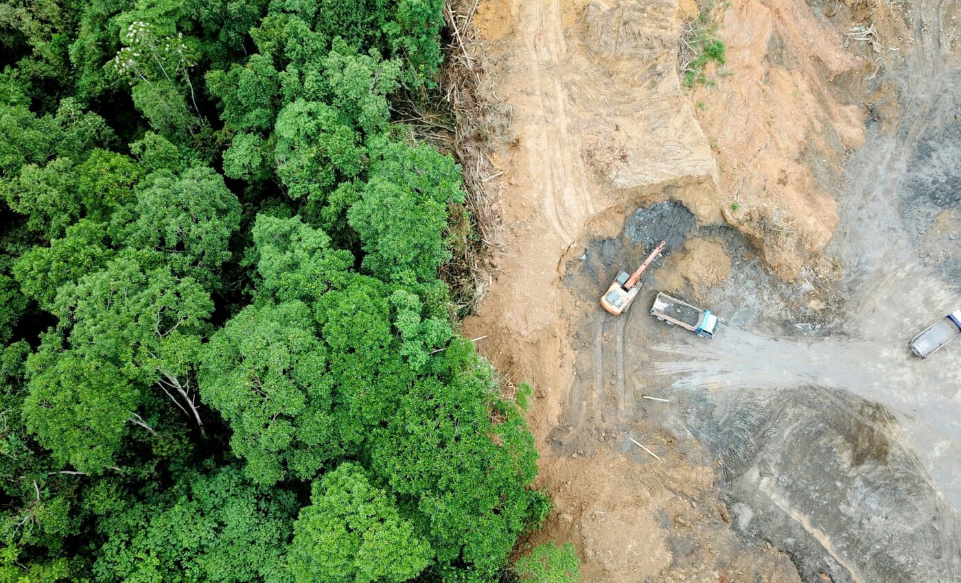 Coordinated efforts needed to slow deforestation