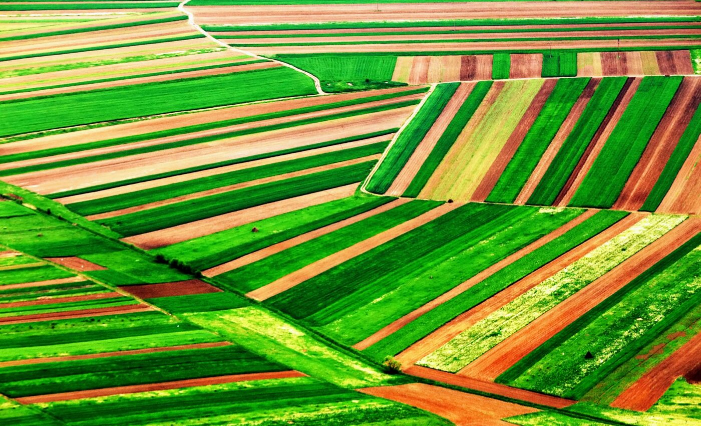 Major shift in crop production expected within 10 years