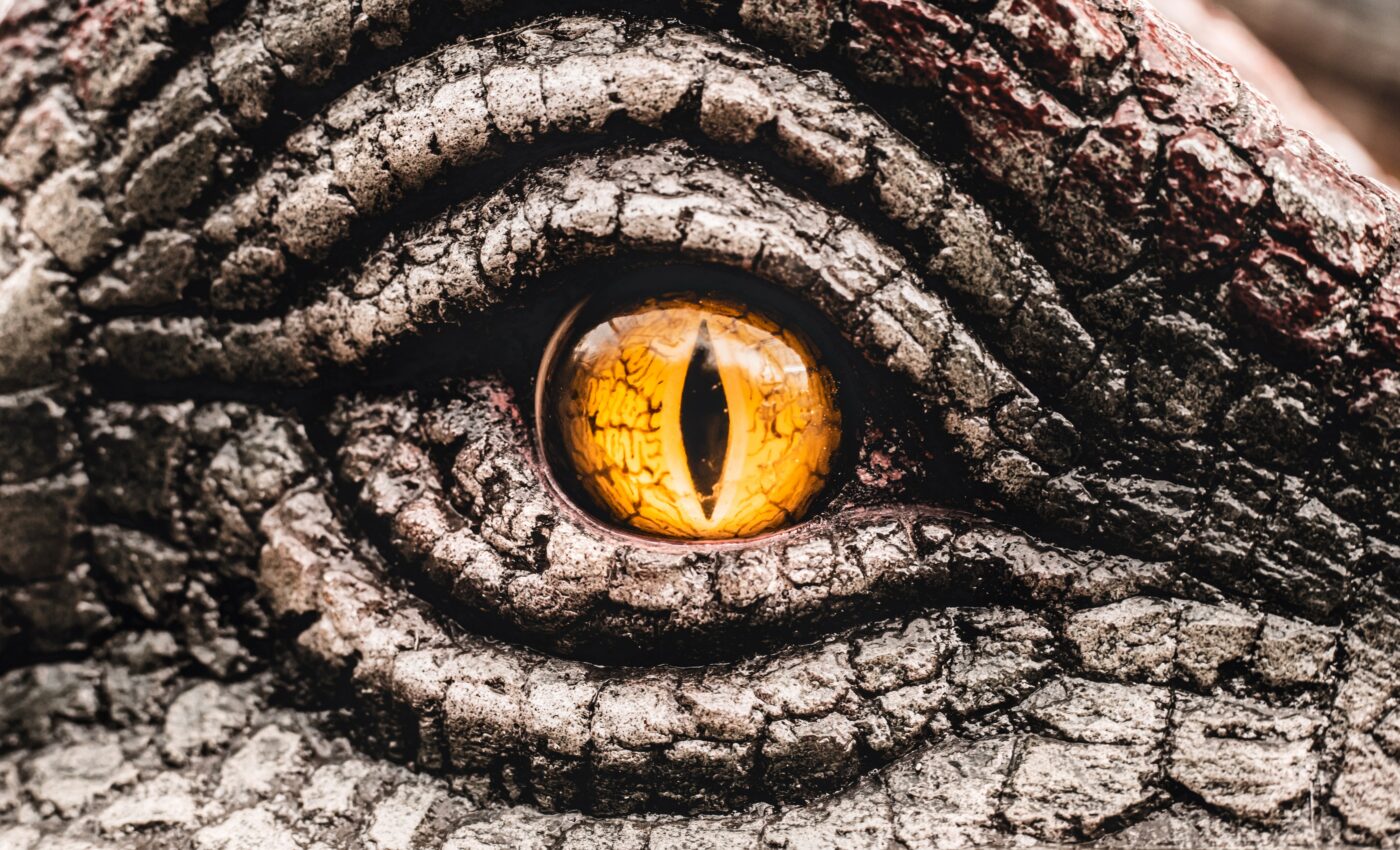 New dinosaur species identified on the Isle of Wight