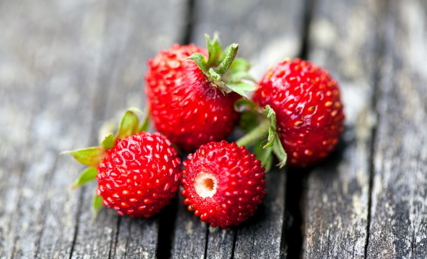 Wild strawberry flavor for foods, from a fungus