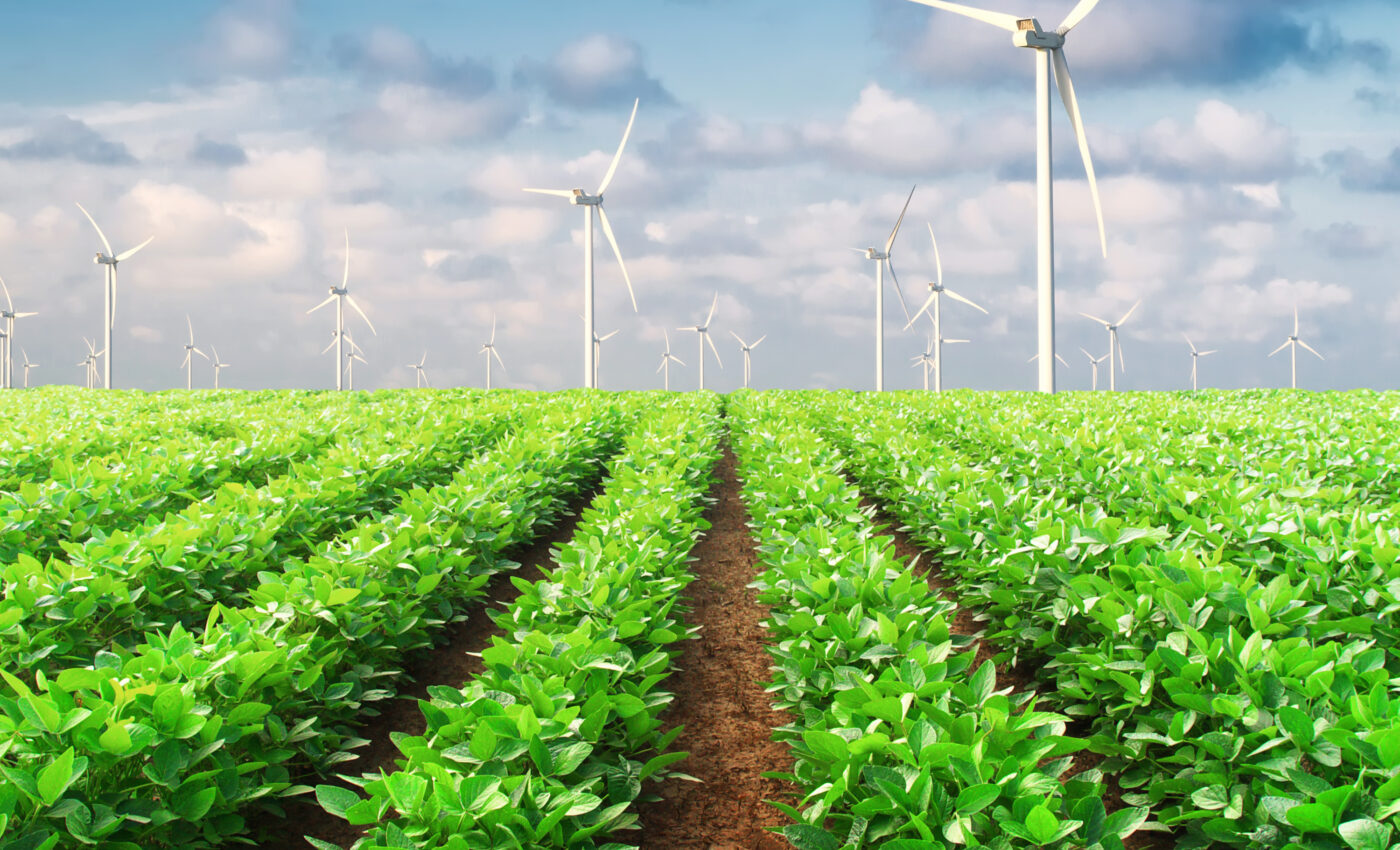 Scientists can breed plants with genes from only one parent