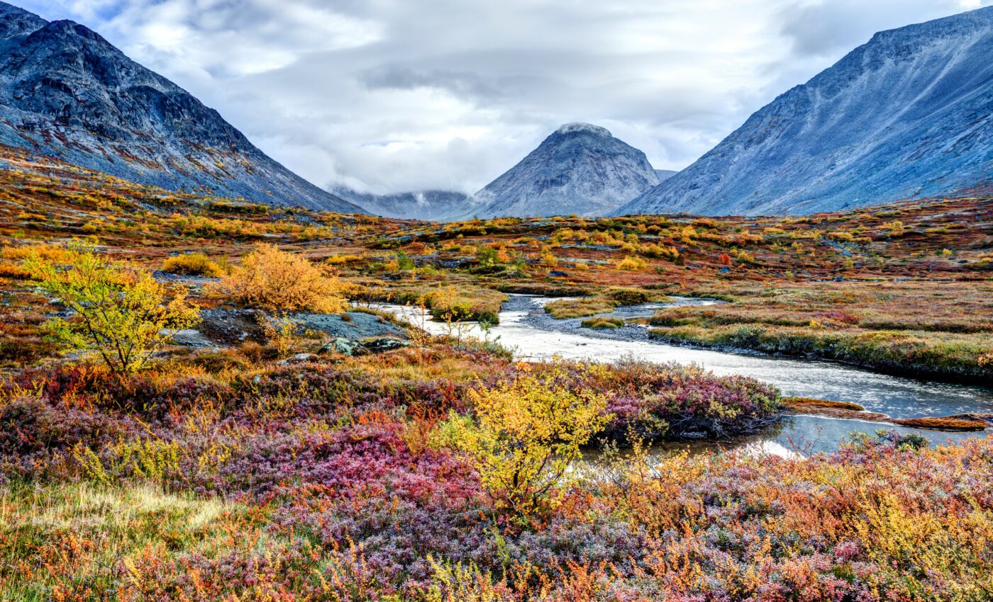 Arctic river discharge rates are higher than expected