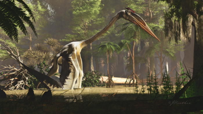 The world’s largest flying dinosaur jumped before takeoff