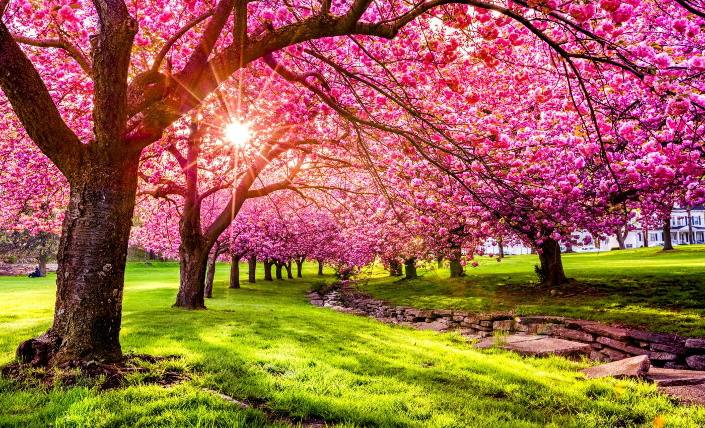 Plants are not keeping pace with climate change