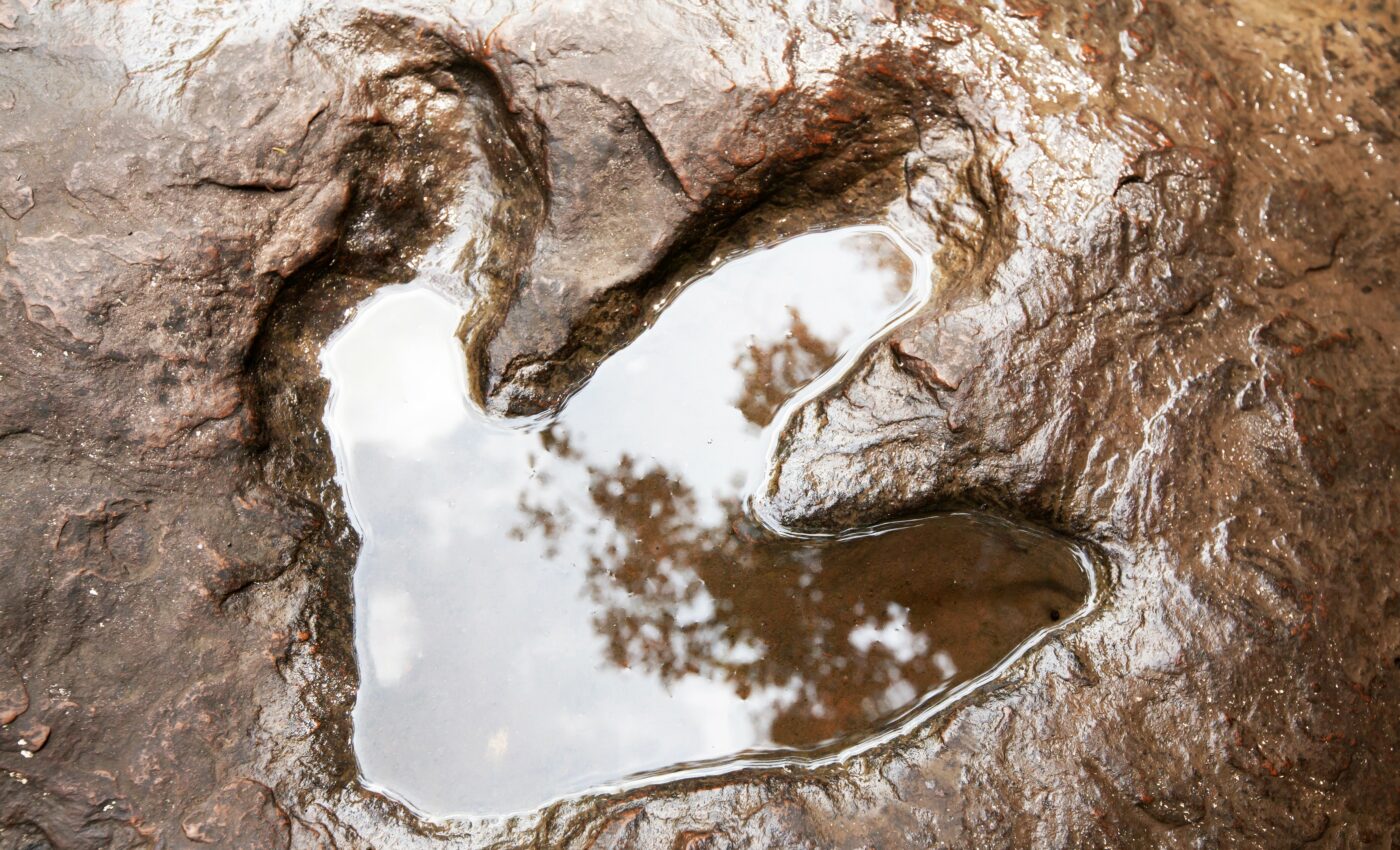 Flesh-eating theropods were extremely fast