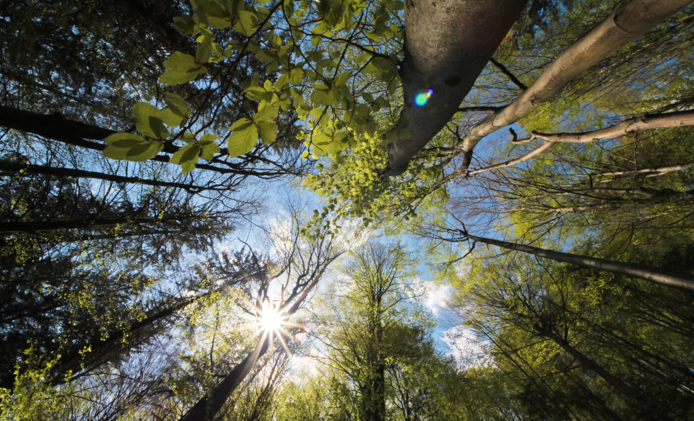 Were there "whiffs" of oxygen on early Earth?