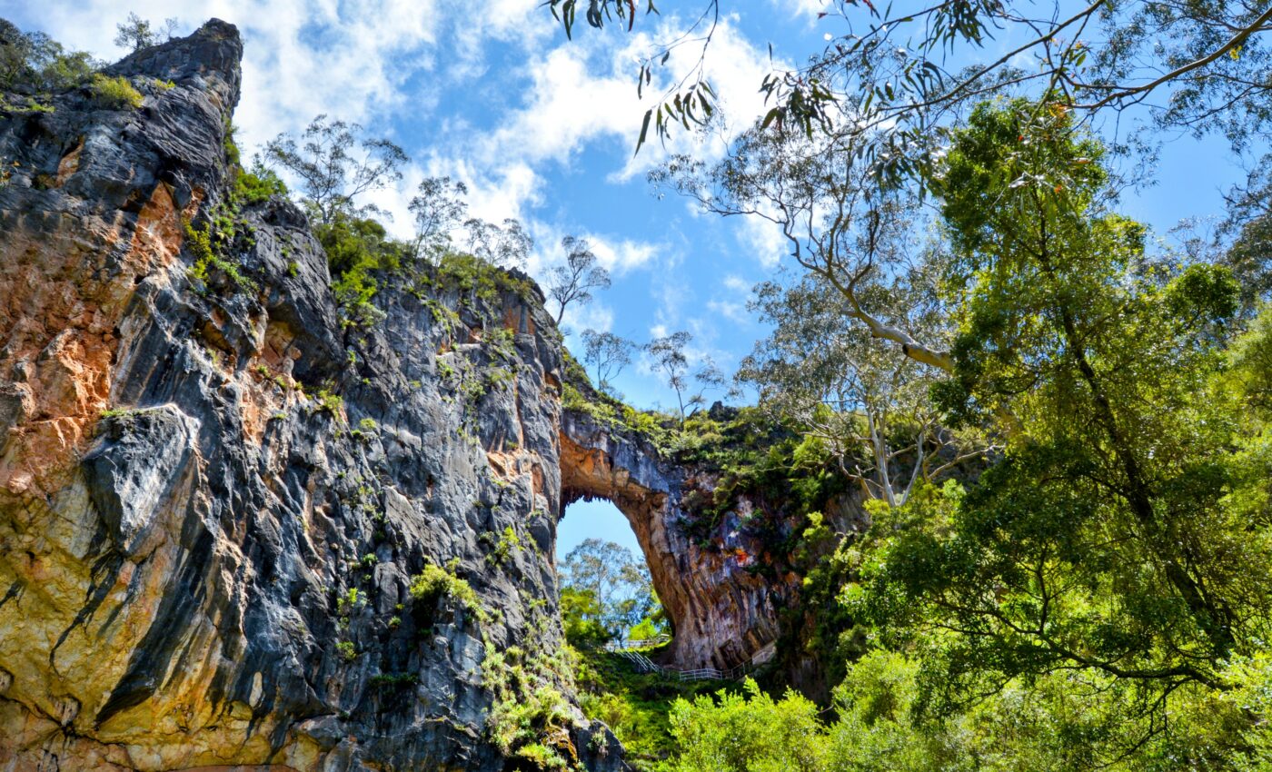 Fossil site in Australia indicates abundant life during the Miocene