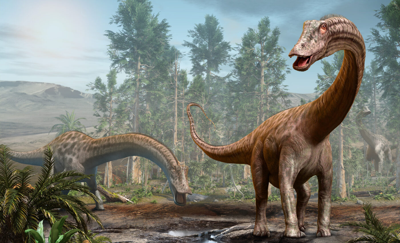 Thecodontosaurus could run fast on its hind legs