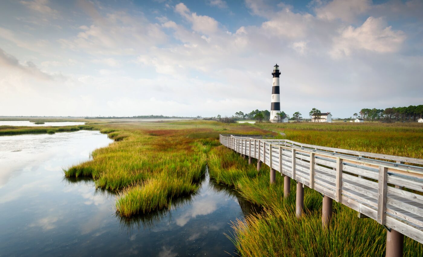 Coastal wetlands can become too salty for some resident plants