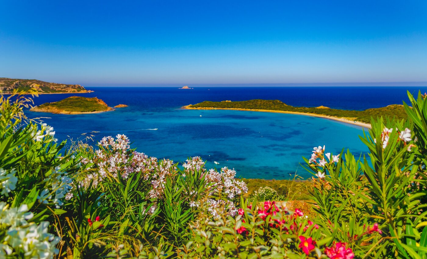 Protected areas are highly effective for wildlife conservation