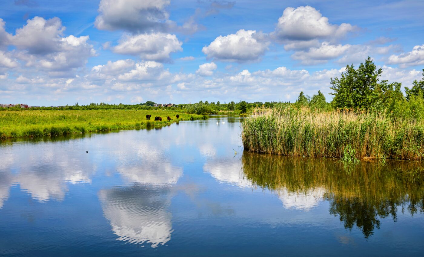 World Wetlands Day: an urgent call for awareness