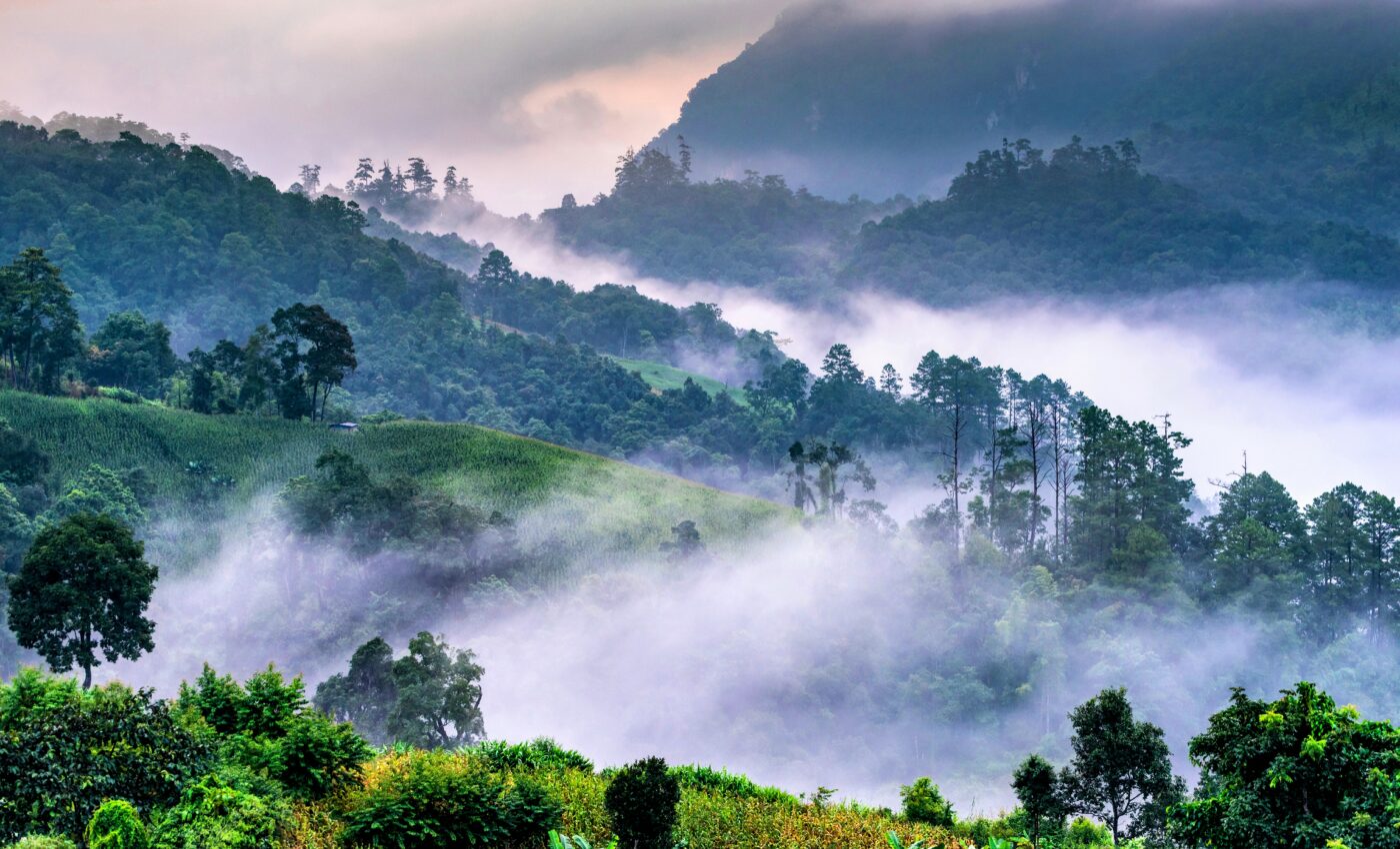 Smallest pollution particles affect rainfall in the Amazon
