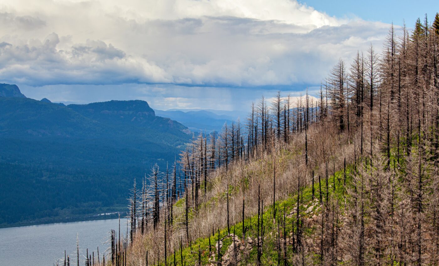 "Double-hazard" wildfire zones identified in the American West