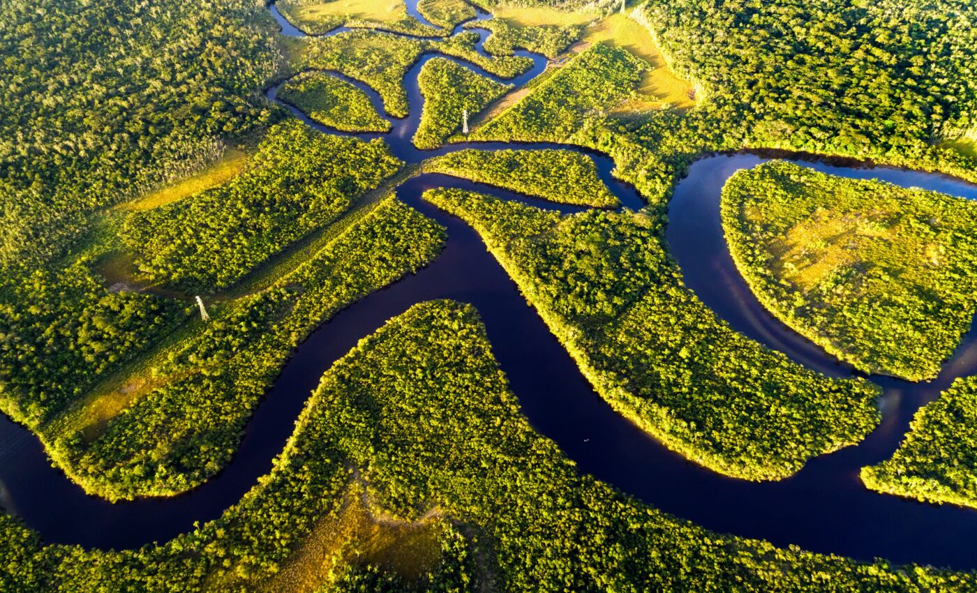 Deforestation in the Amazon hits new record high