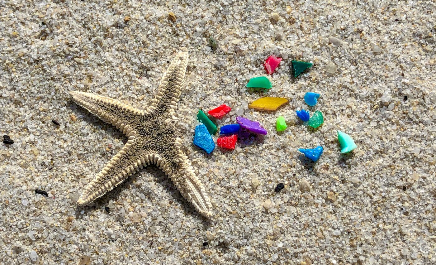 Microplastics strengthen the toxicity of pollutants