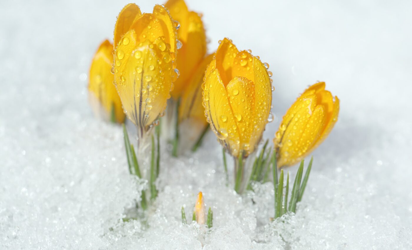 UNEP report identifies the biggest emerging environmental threats