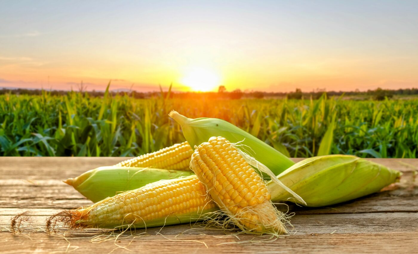 Crop production increases nitrous oxide emissions