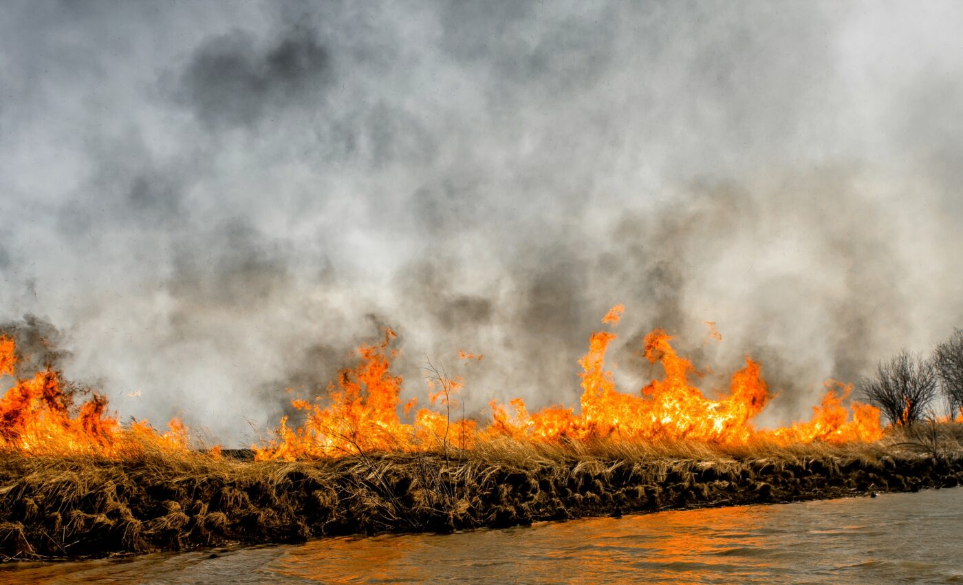 CFCs are not the only culprit – bushfire smoke may also destroy ozone