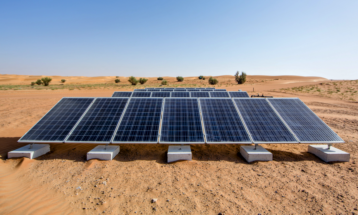 Solar panels used to grow plants in the desert