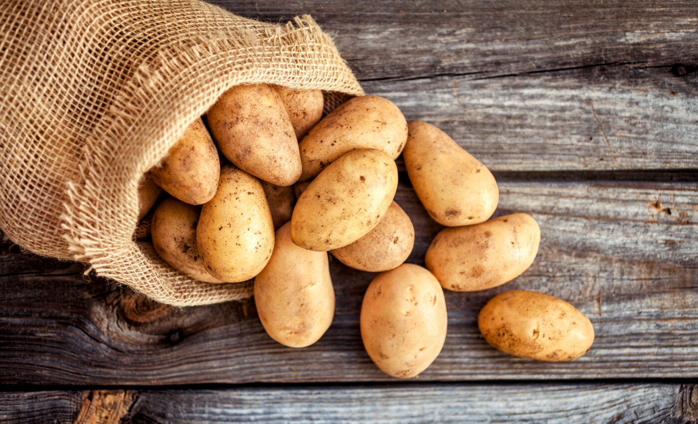 Scientists are breeding more resilient potatoes