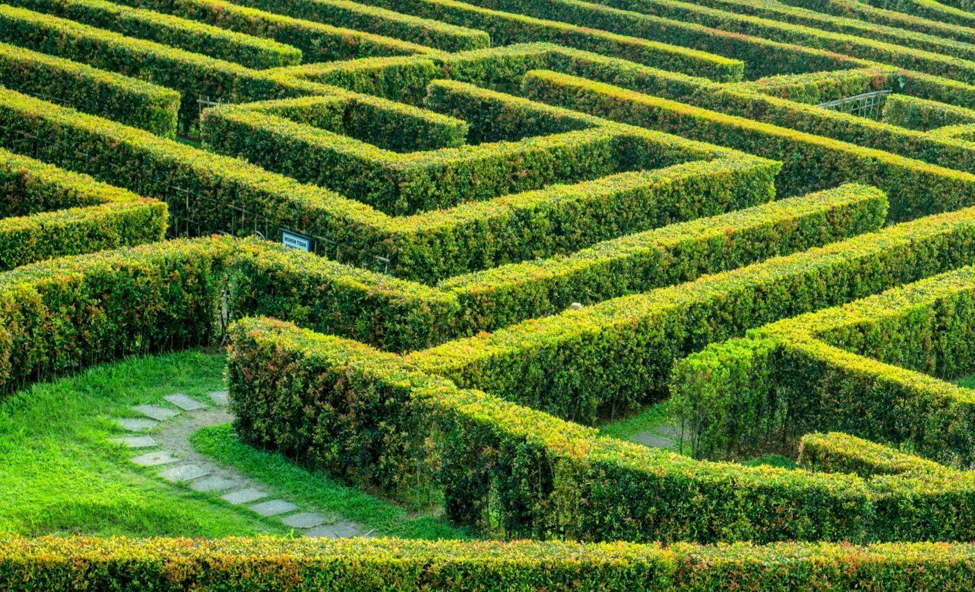 Simple worms can make complex decisions