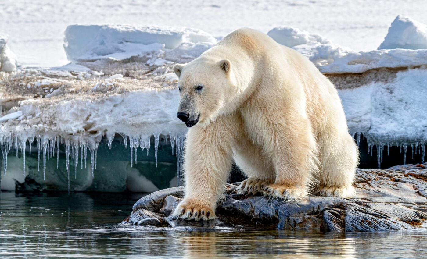 Reducing methane could save Arctic summer sea ice