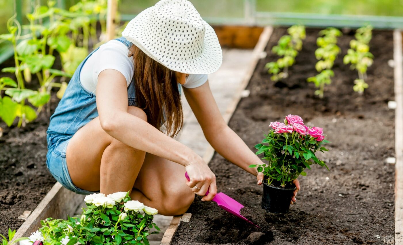 Gardening got a major boost from the COVID-19 pandemic