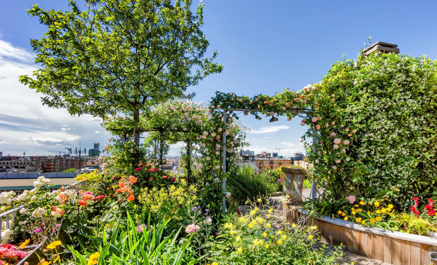 Rooftop gardens can lower city heat