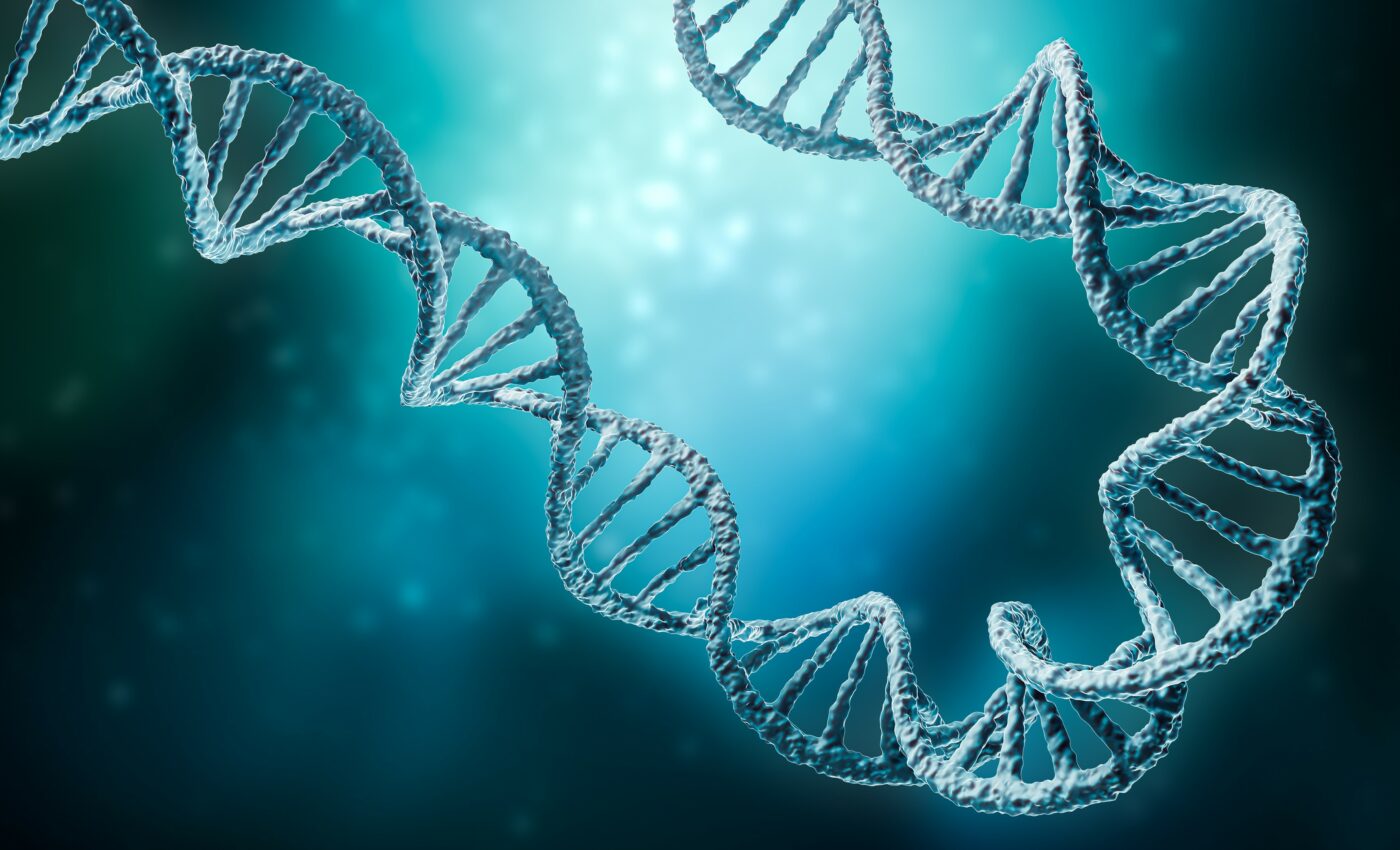 Complete sequencing of the human genome reveals new findings