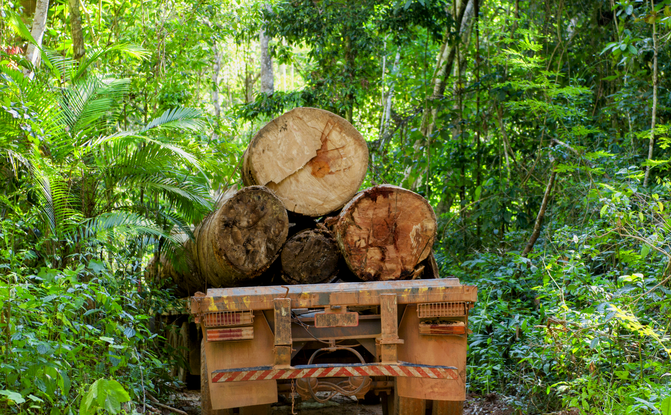 Deforestation linked to irreversible transition in the Amazon