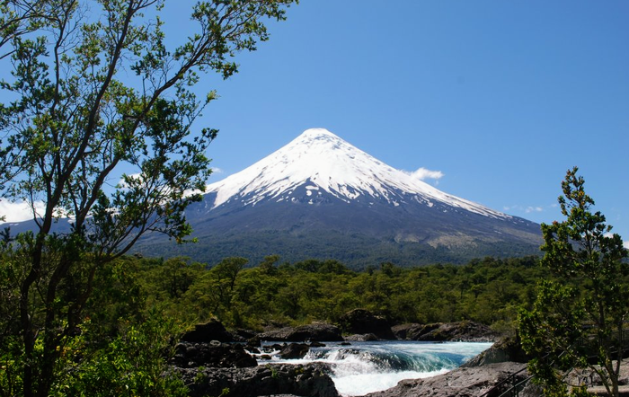 Private protected areas could help save threatened wildlife