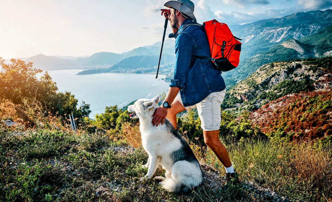 Rocky Mountain spotted fever risk is greater than expected