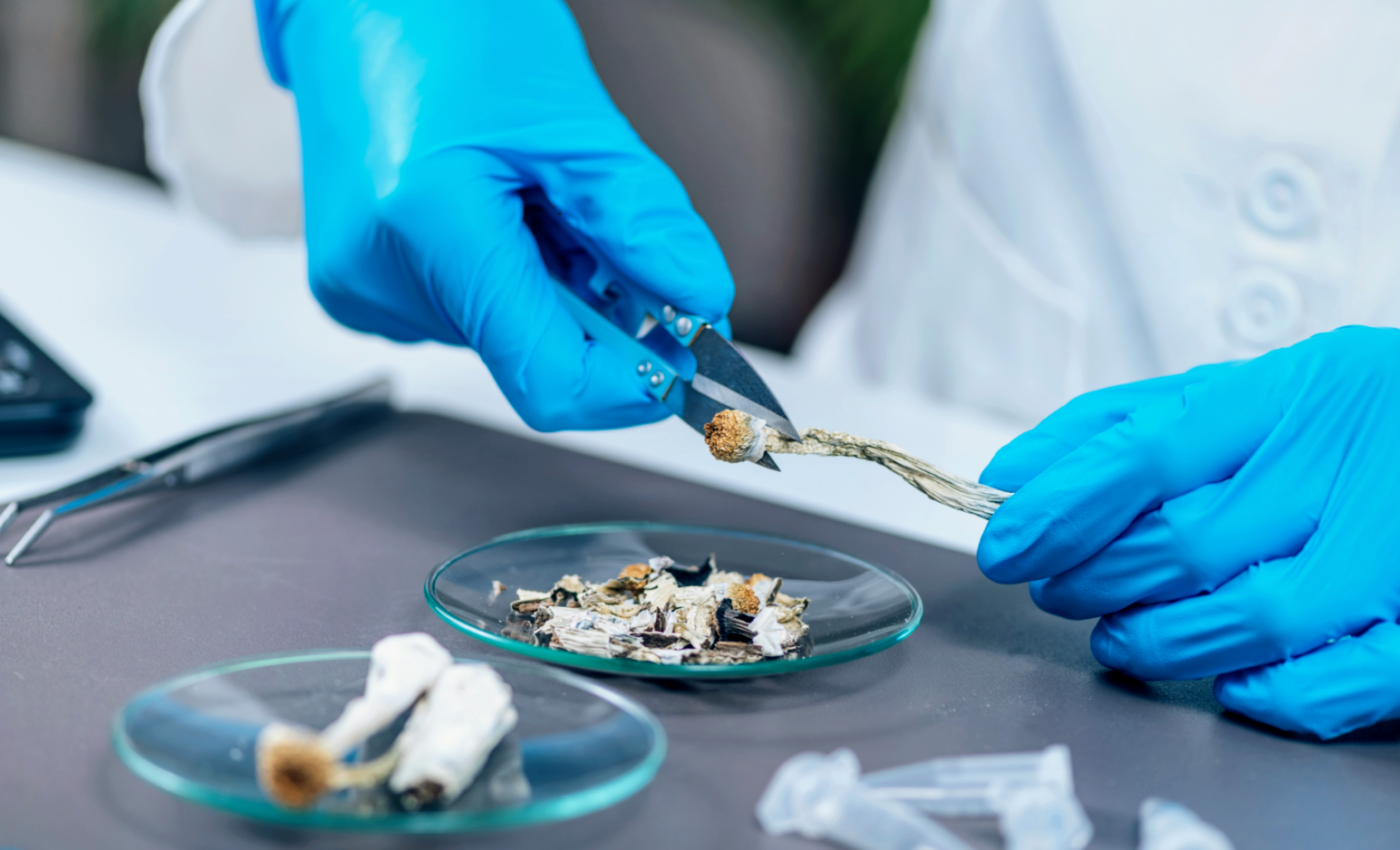 Psilocybin can treat depression by restructuring the brain