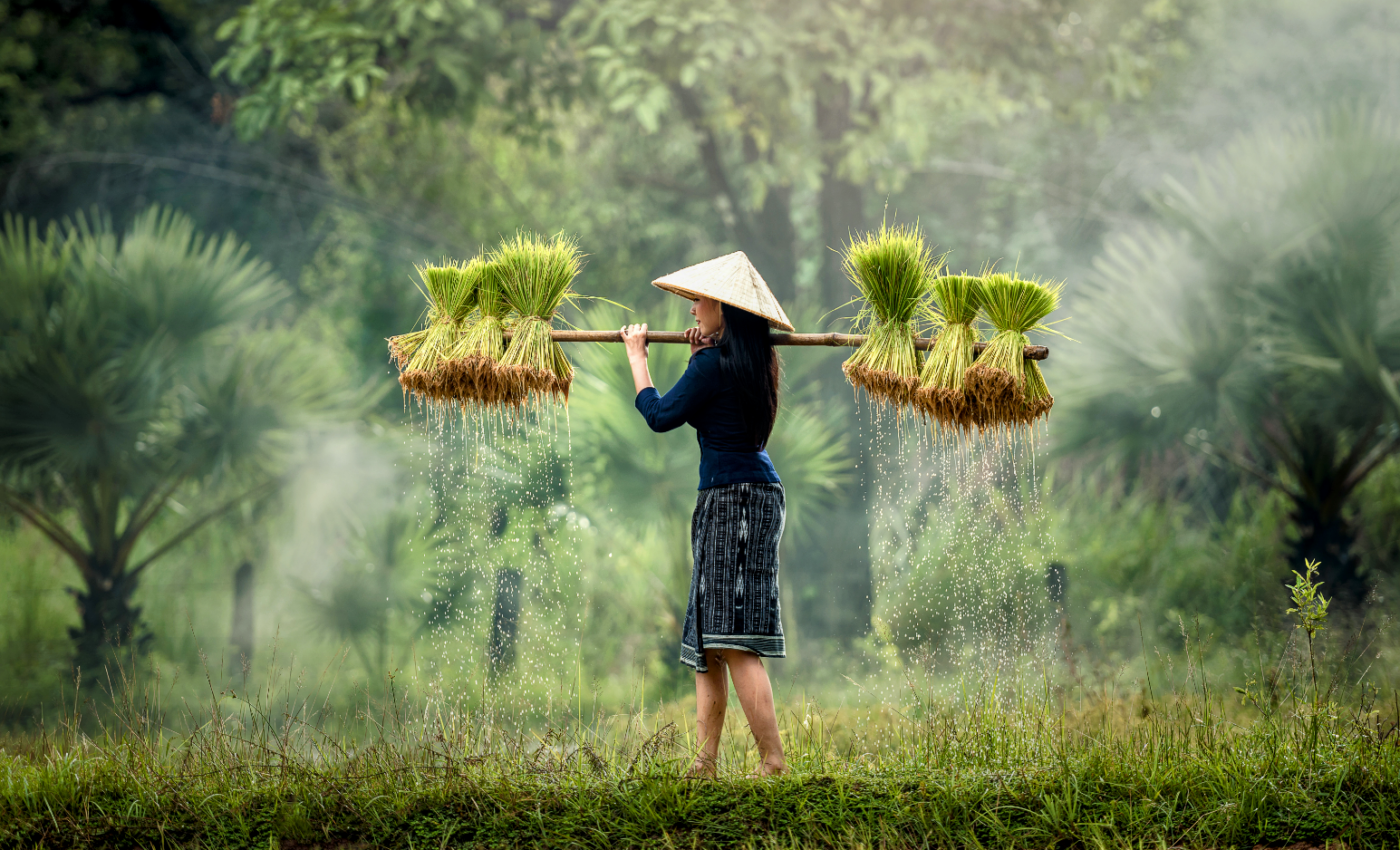 Agriculture could play a key role in limiting global warming